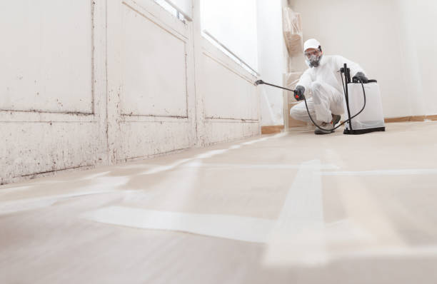 24/7 Emergency Mold Removal experts in Wilson, NC